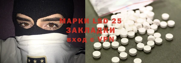 mdpv Бородино
