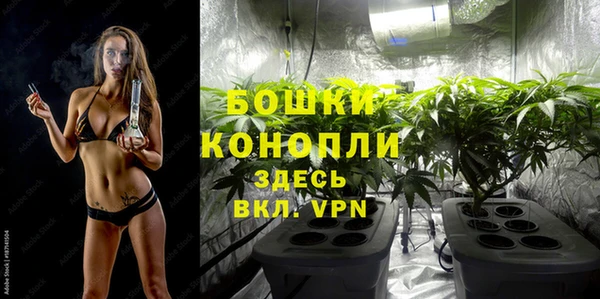 mdpv Бородино