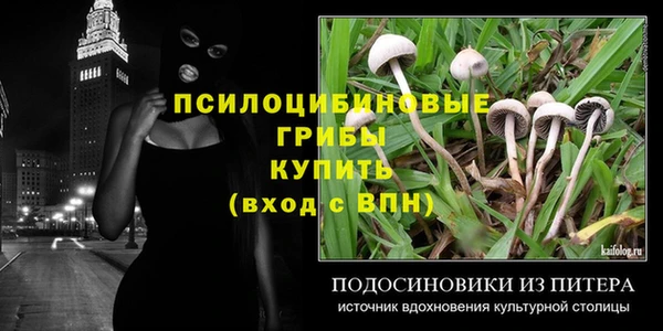 мяу мяу кристалл Богданович